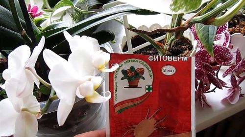 Фитоверм для орхидей