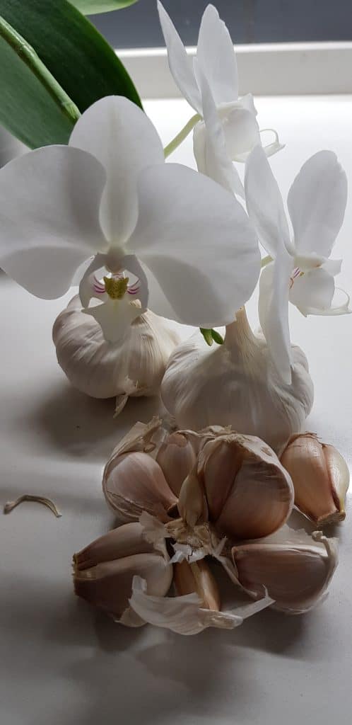 чеснок и белая орхидея