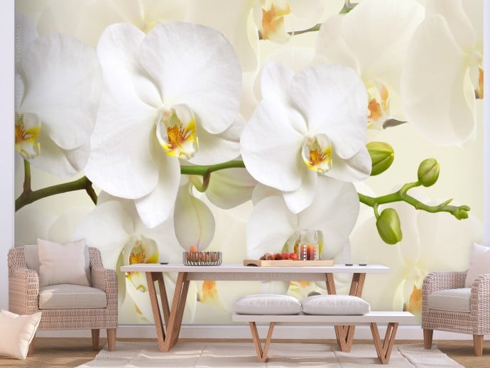 изображение орхидей на стене